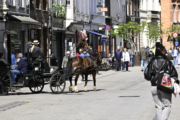Une calèche tirée par un cheval brun traverse une rue pavée animée d'une vieille ville européenne. Des touristes et passants flânent autour des façades historiques et boutiques. Scène de tourisme urbain classique.