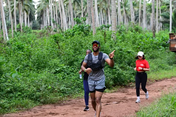 Groupe de coureurs dans une palmeraie tropicale